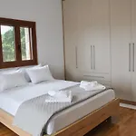 Oliveto Con Vista
